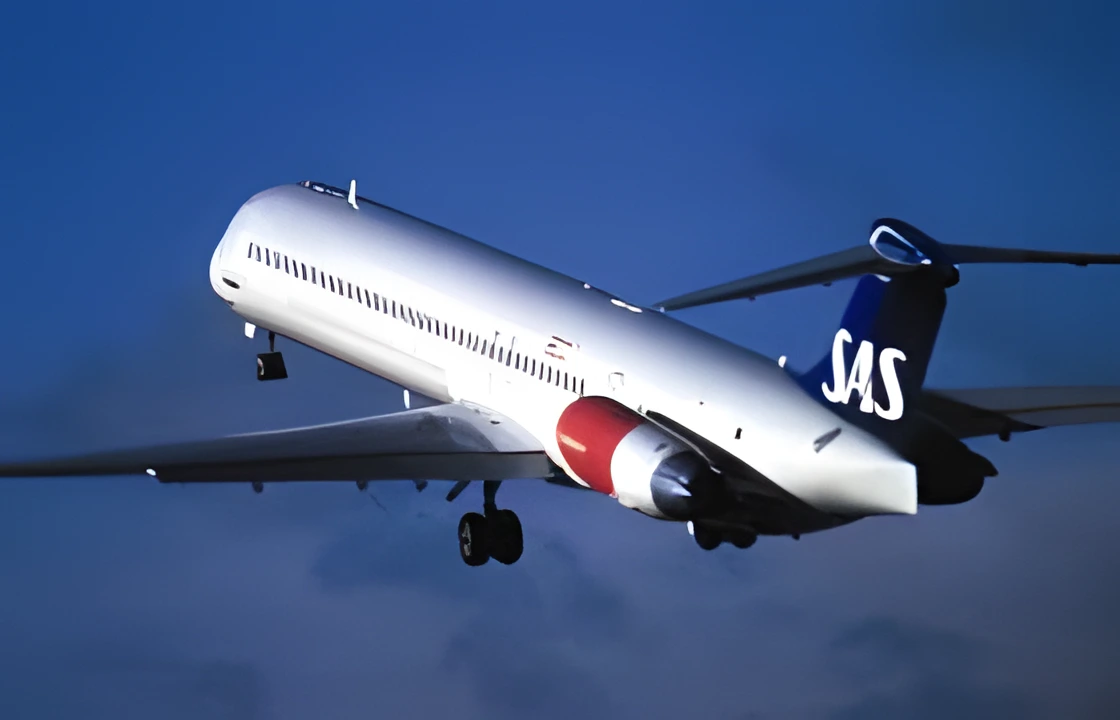 Sas fly Sas fly