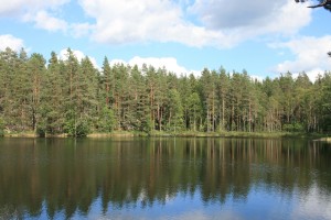 Natu, Skodder, Pynteskodder, Jalousilåger, Vinduesskodder, Jalousiskodder,